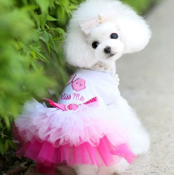 Princess Lace Dress for Dogs - Small - Pet NOCO