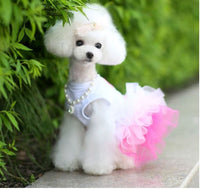 Princess Lace Dress for Dogs - Pet NOCO