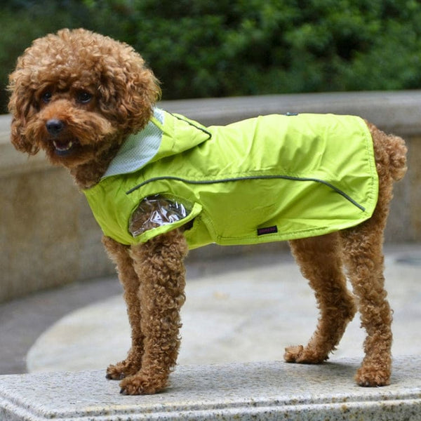 Waterproof Pet Poncho for Dogs - Green XL - Extra Large - Pet NOCO