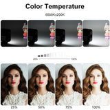 Vloglite W36 Mini LED Photography Beauty Light Rechargeable 36 LEDs - Vloglite