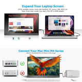 F156P02 15.6-Inch Full HD Portable Monitor 1920x1080 60Hz with Built-In Kickstand - Noco