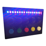 RaceCraftsNZ Compact Button Box Series - RaceCrafts