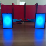 RaceCraftsNZ LED Flags Module 8LEDS Programmable 2 Sides - RaceCrafts