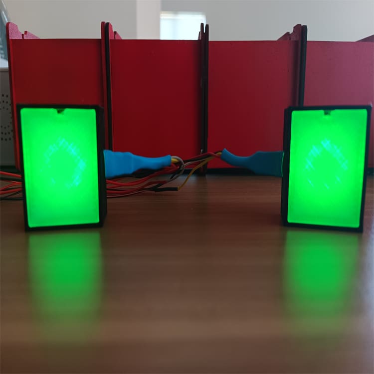 RaceCraftsNZ LED Flags Module 8LEDS Programmable 2 Sides - PRE-ORDERS ...
