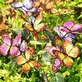 [2 Pack] Solar Powered Butterflies Multi-colour LED Garden Light - Noco