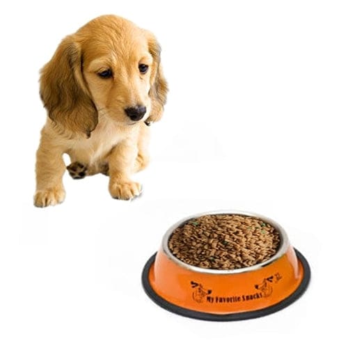 Large Non-slip Pet Stainless Steel High Quality Pet Bowl - Pet NOCO